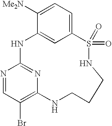 Figure US20040209895A1-20041021-C00226