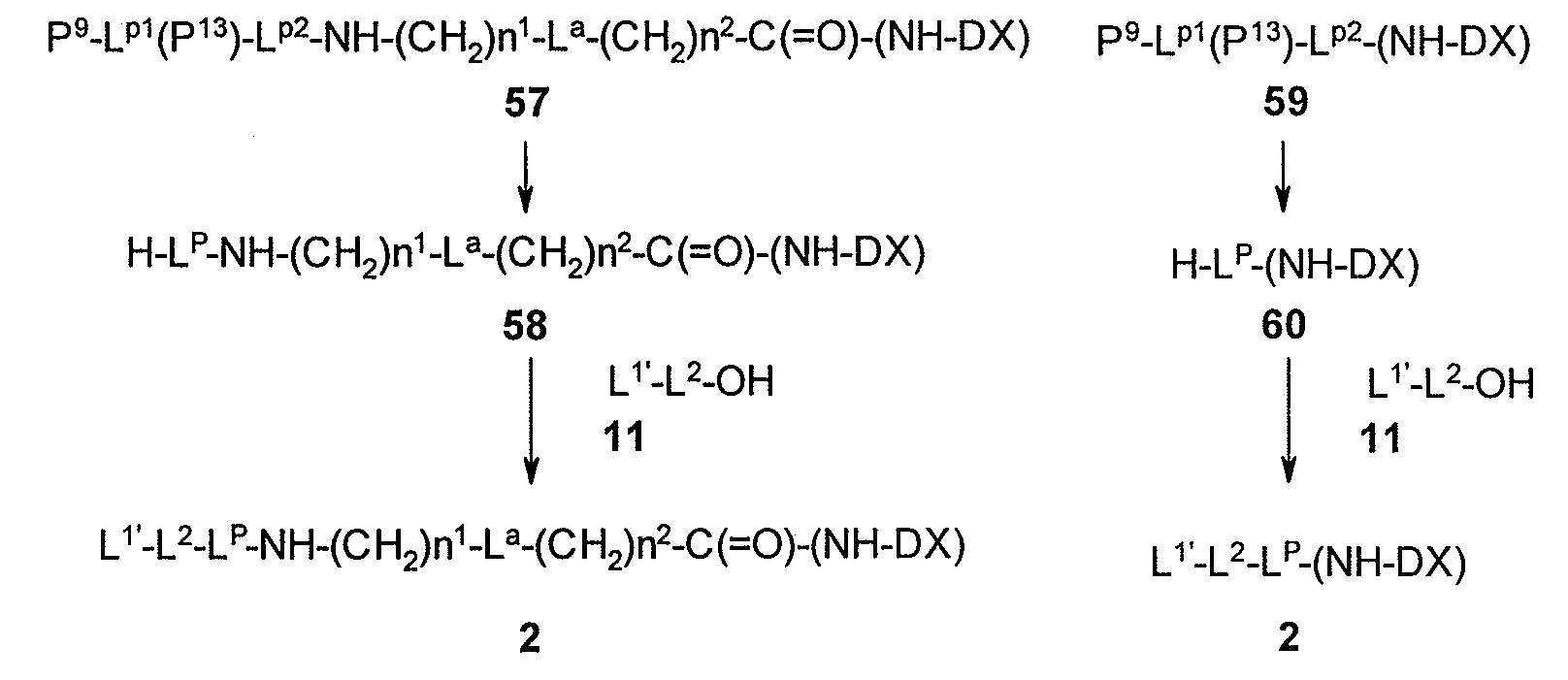 Figure 112023010565365-pat00064