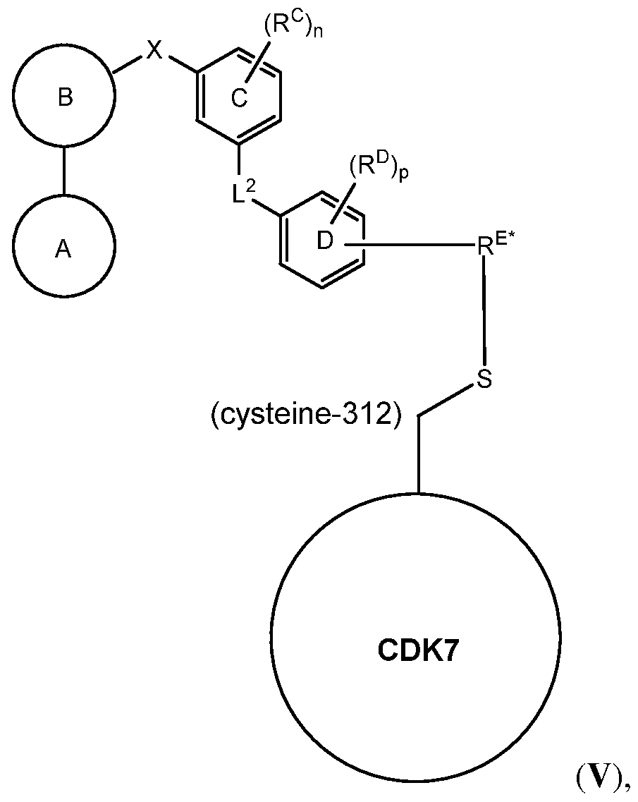 Figure imgf000015_0002