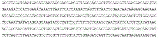 Figure 582780DEST_PATH_IMAGE041