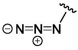 Figure BDA00031690923500001511