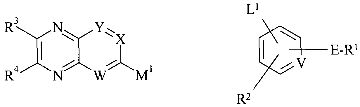 Figure imgf000019_0002