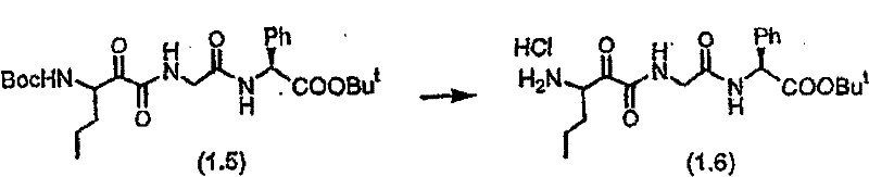 Figure BSA00000554725401102