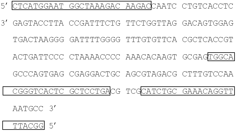 Figure US20070259337A1-20071108-C00001
