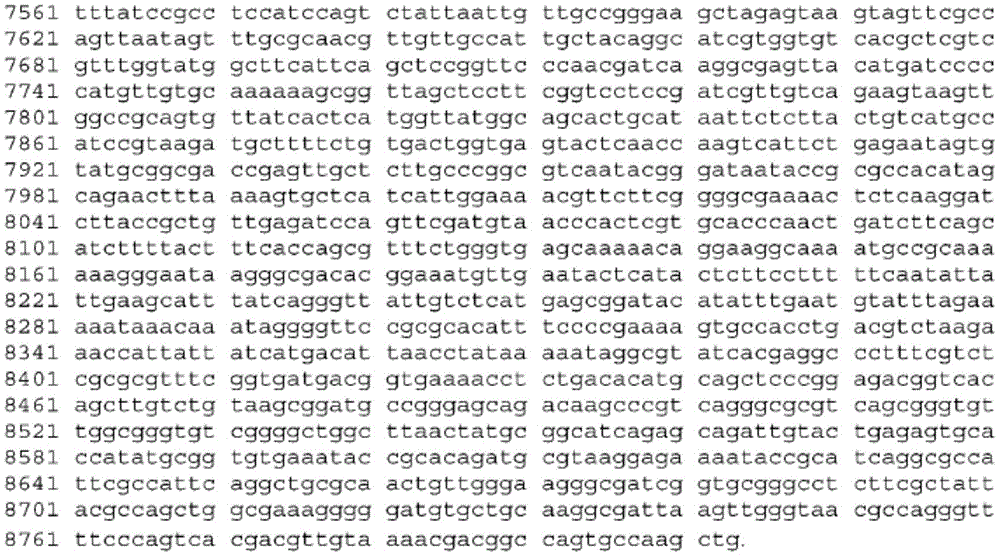 Figure BDA0003465582640001221