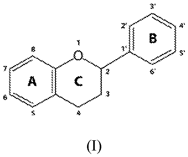 Figure imgf000015_0001