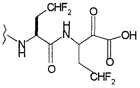 Figure imgf000019_0003