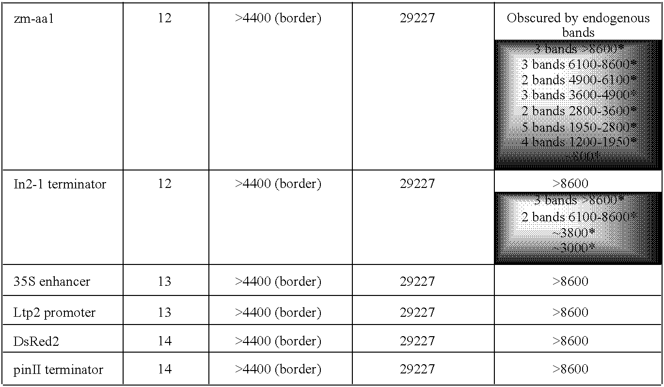 Figure US20090210970A1-20090820-C00004