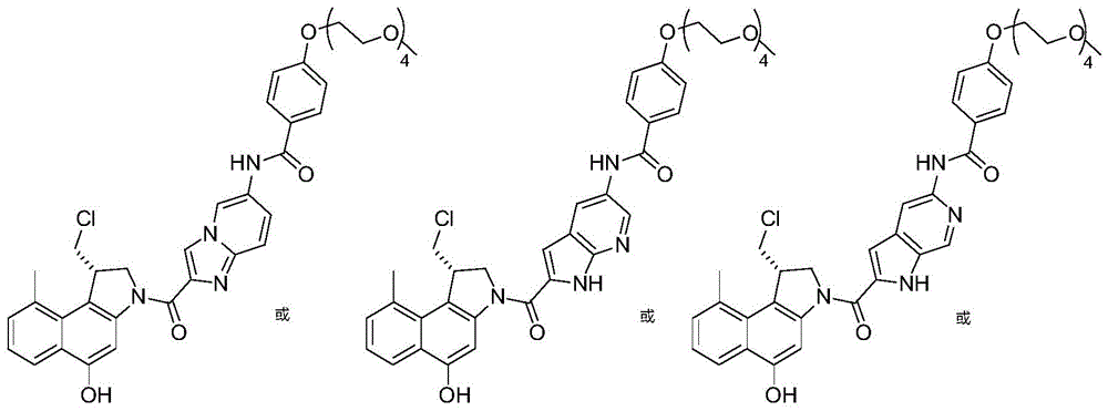 Figure GDA0002483706190001062