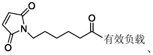 Figure BDA0003169092350000351