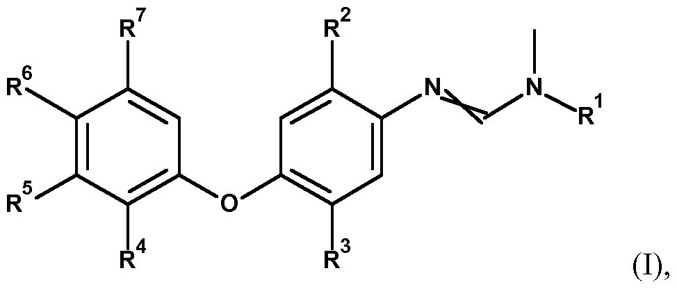 Figure imgf000005_0001