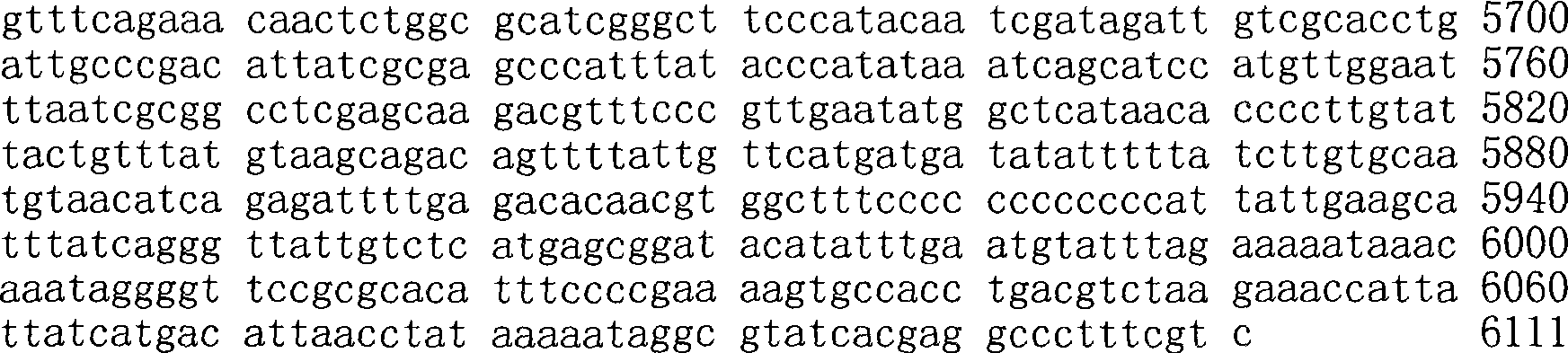 Figure A200780009494D01251