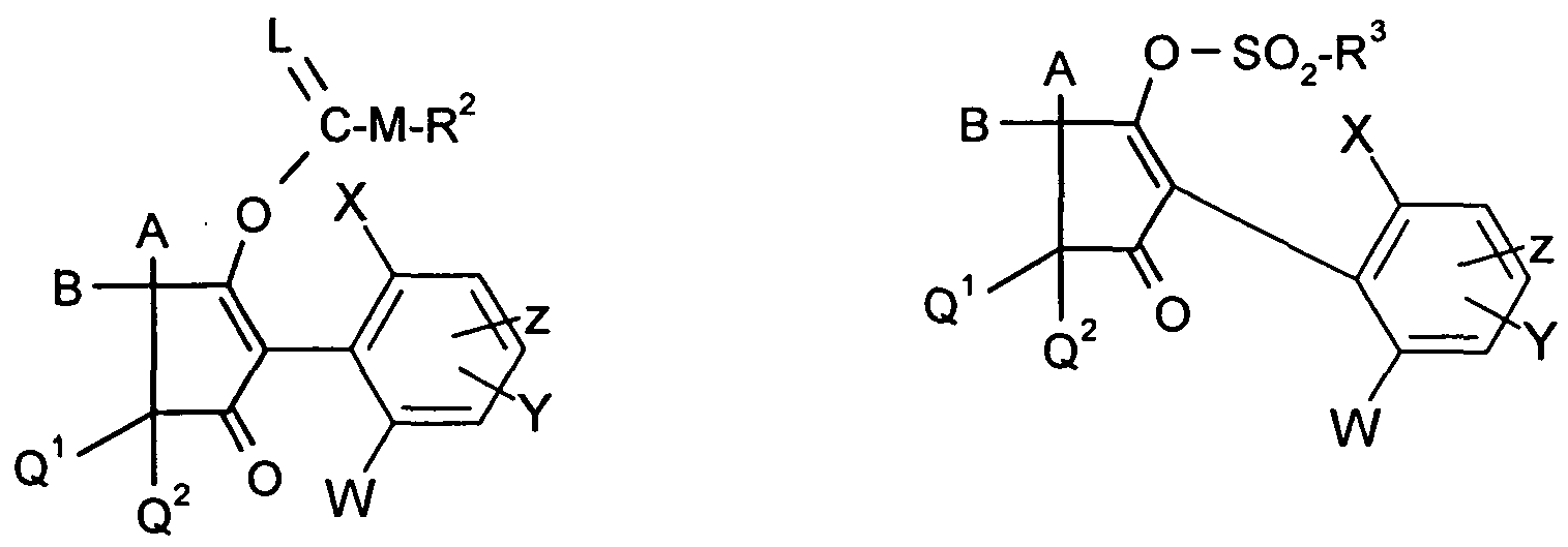 Figure imgf000019_0001