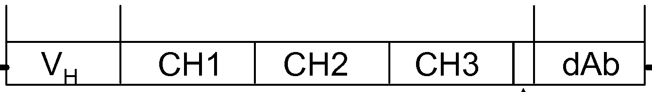 Figure imgf000072_0002