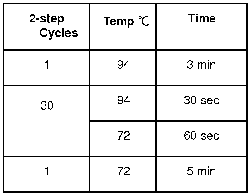 Figure imgf000019_0003