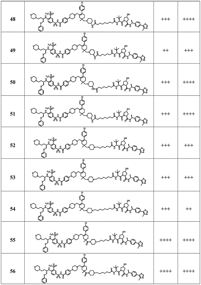 Figure BDA0003293294510000881