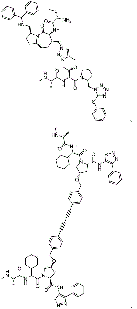 Figure BDA0002814149690000361
