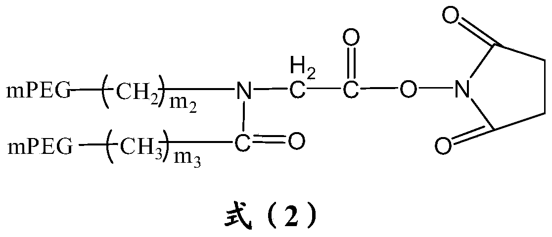 Figure PCTCN2019087144-appb-000008