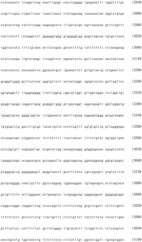 Figure IDA0003936212790001111