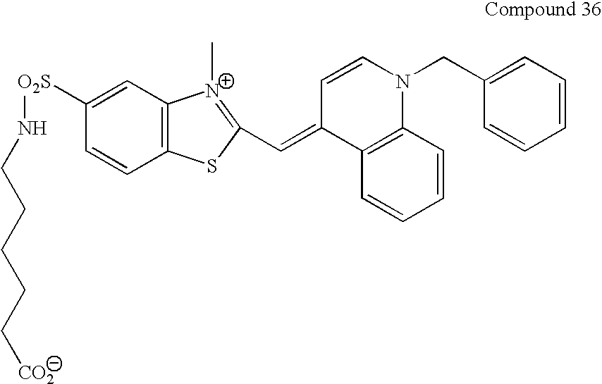 Figure US20090047683A1-20090219-C00059