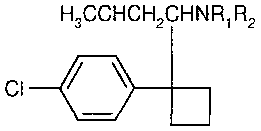 Figure imgf000004_0001