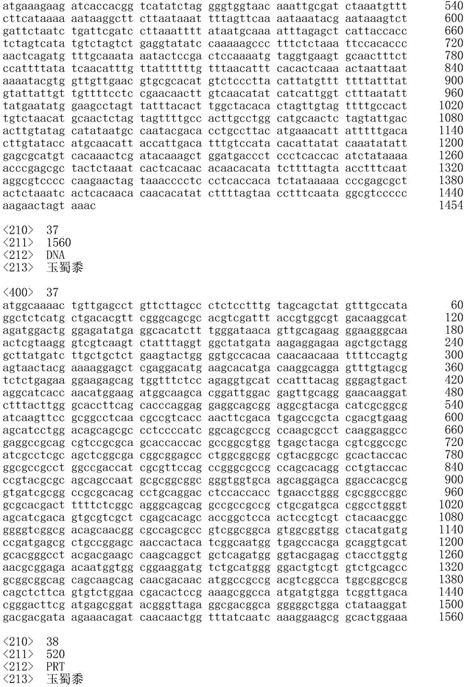 Figure IDA0002532806220000171