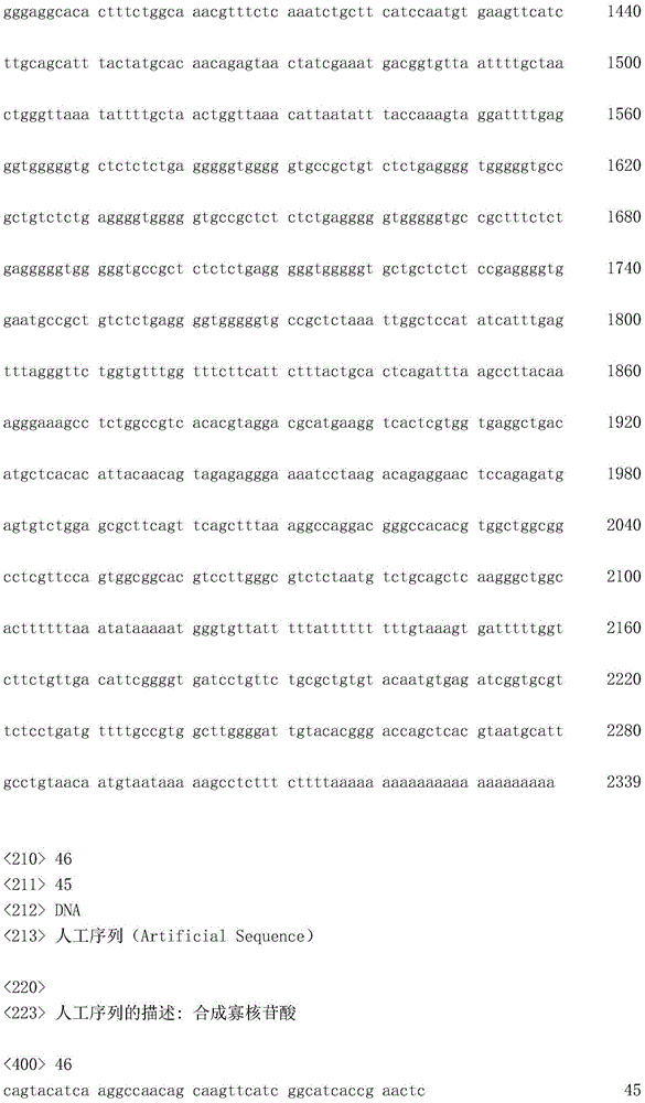 Figure IDA0002872168960002491