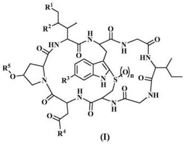 Figure 0007296396000025