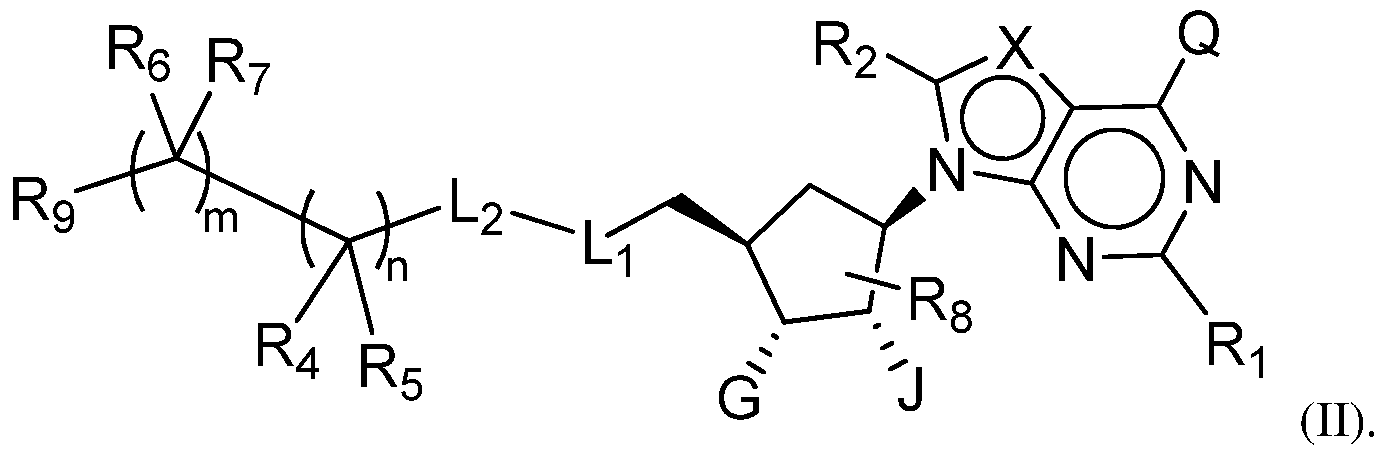 Figure imgf000007_0001