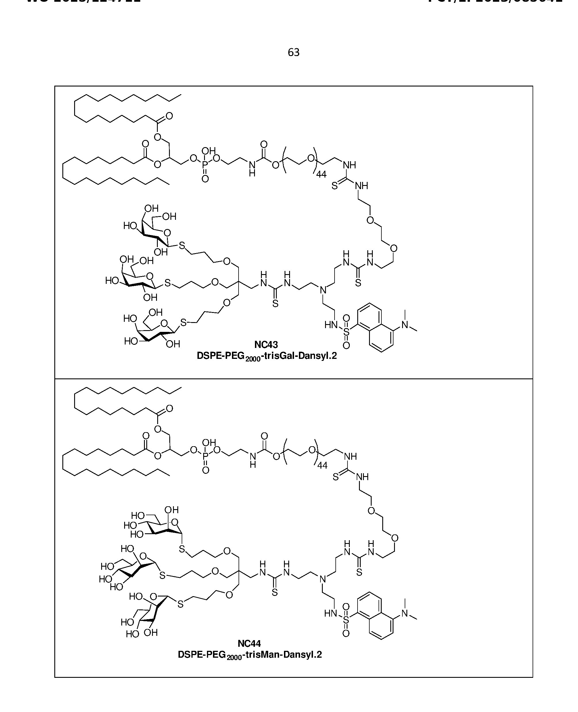 Figure imgf000064_0001