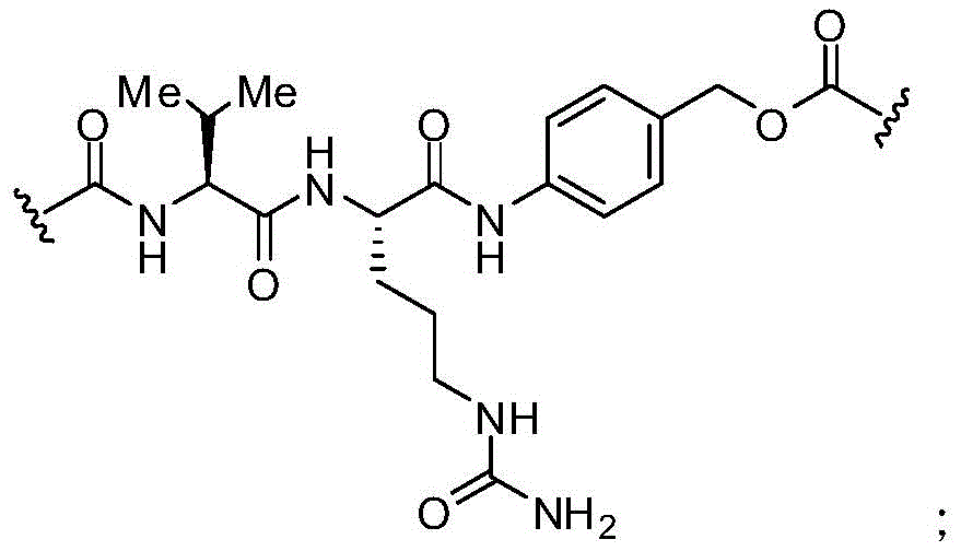 Figure FDA0001969588390000121