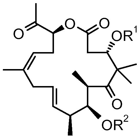 Figure imgf000005_0002