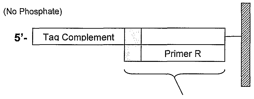 Figure imgf000025_0001