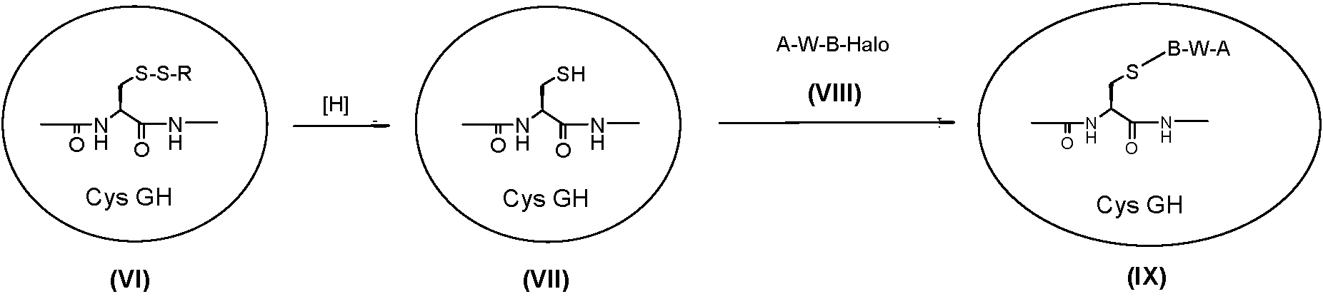 Figure imgf000016_0006