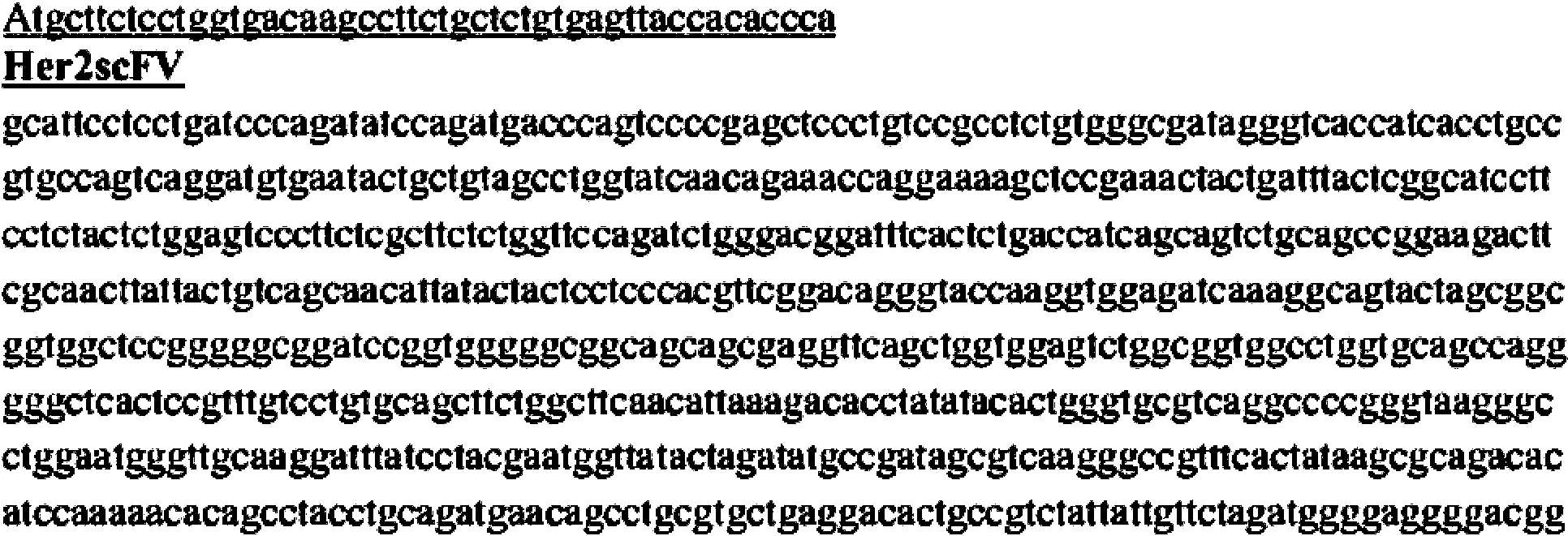 Figure imgf000092_0002