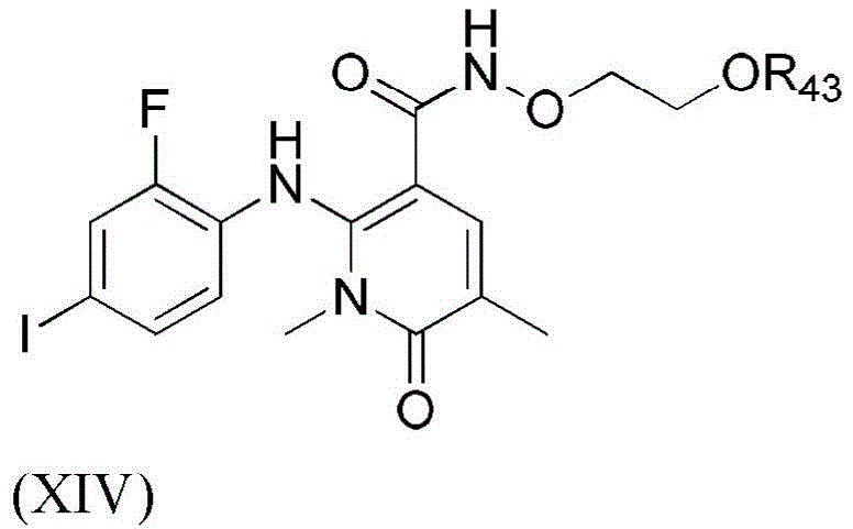Figure BDA0003135424430001401