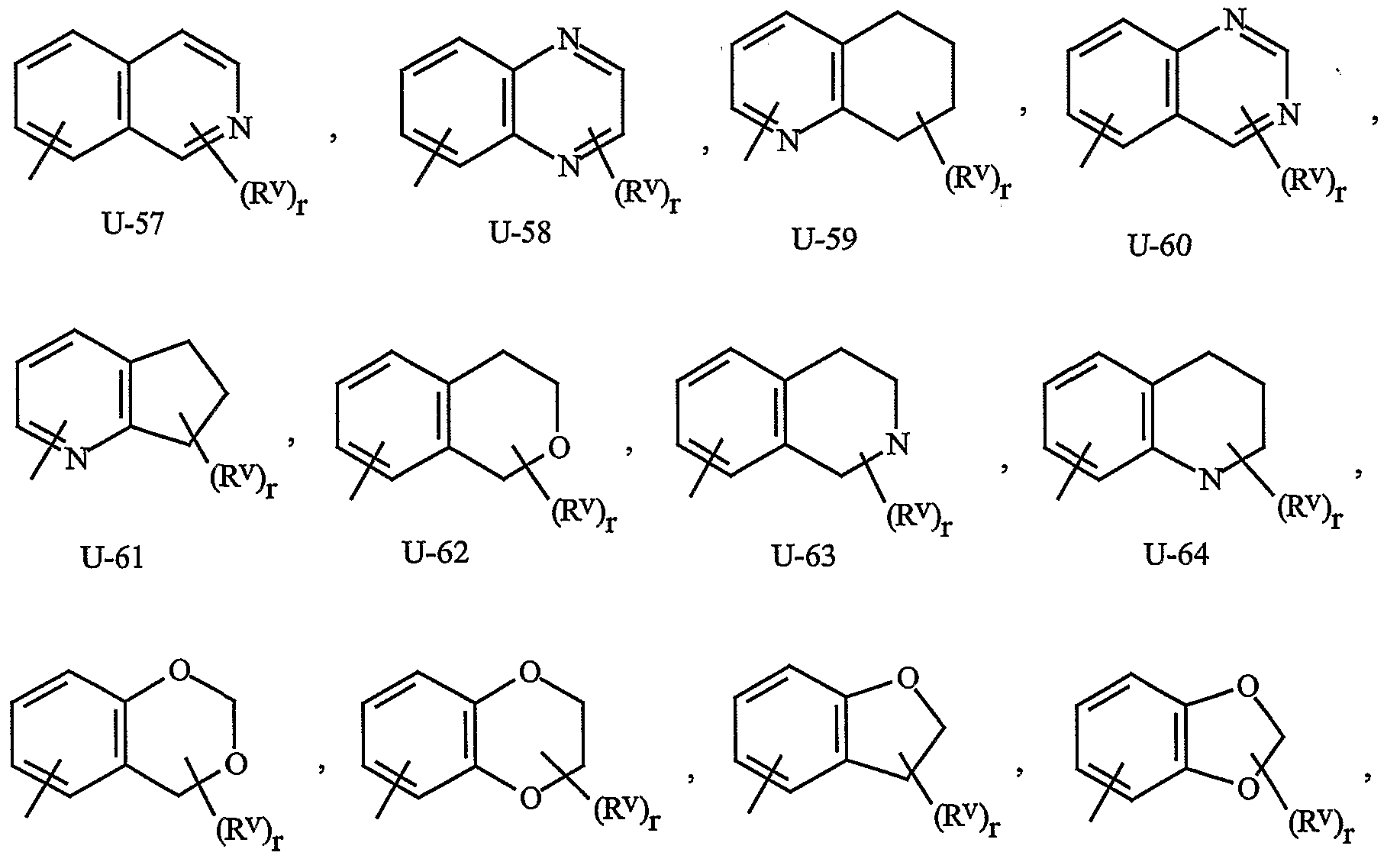 Figure imgf000013_0004