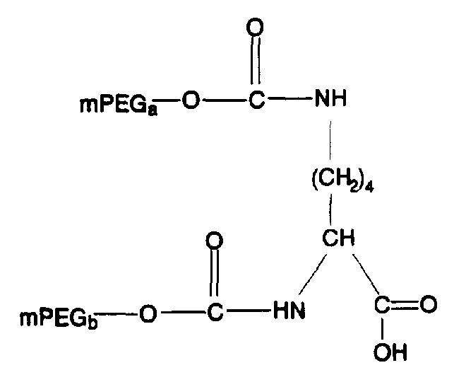 Figure imgf000082_0001