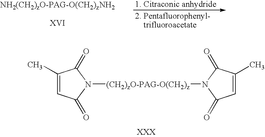 Figure US20070141021A1-20070621-C00023