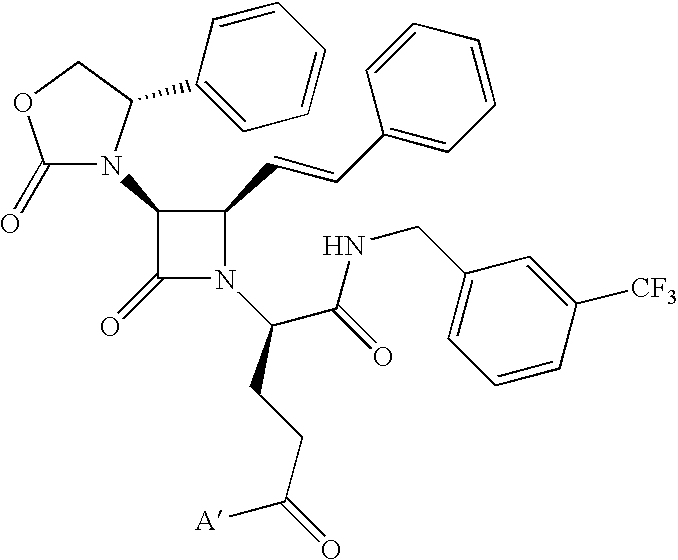 Figure US20100016274A1-20100121-C00041