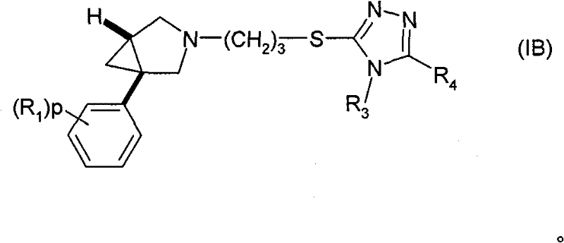 Figure FSB00000371420400023