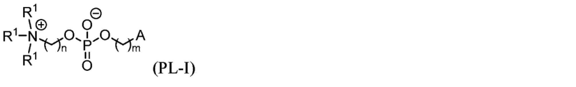 Figure 2022519557000050