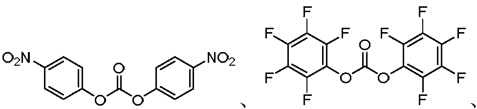 Figure PCTCN2019073148-appb-100074