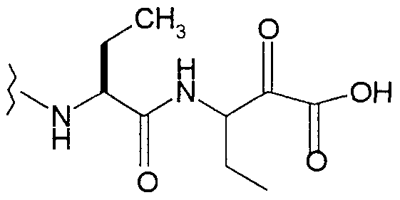 Figure imgf000019_0001
