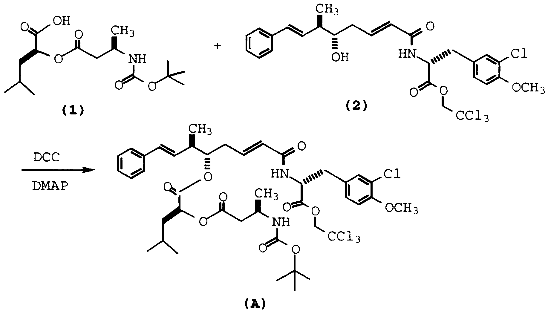 Figure imgf000040_0001