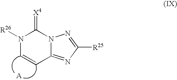 Figure US20070149555A1-20070628-C00013