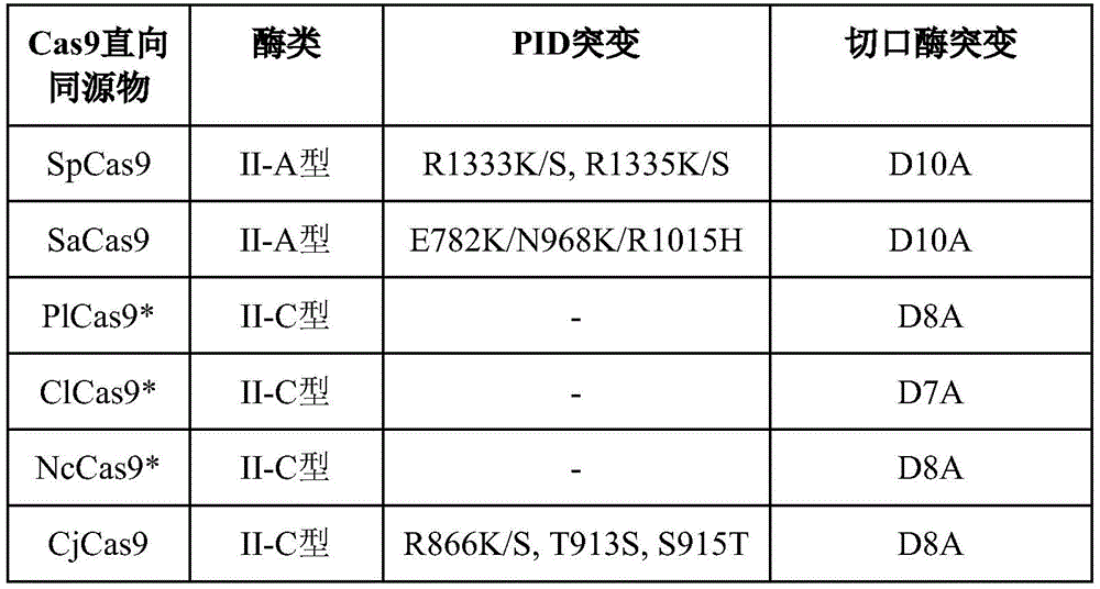 Figure BDA0002377046140000141