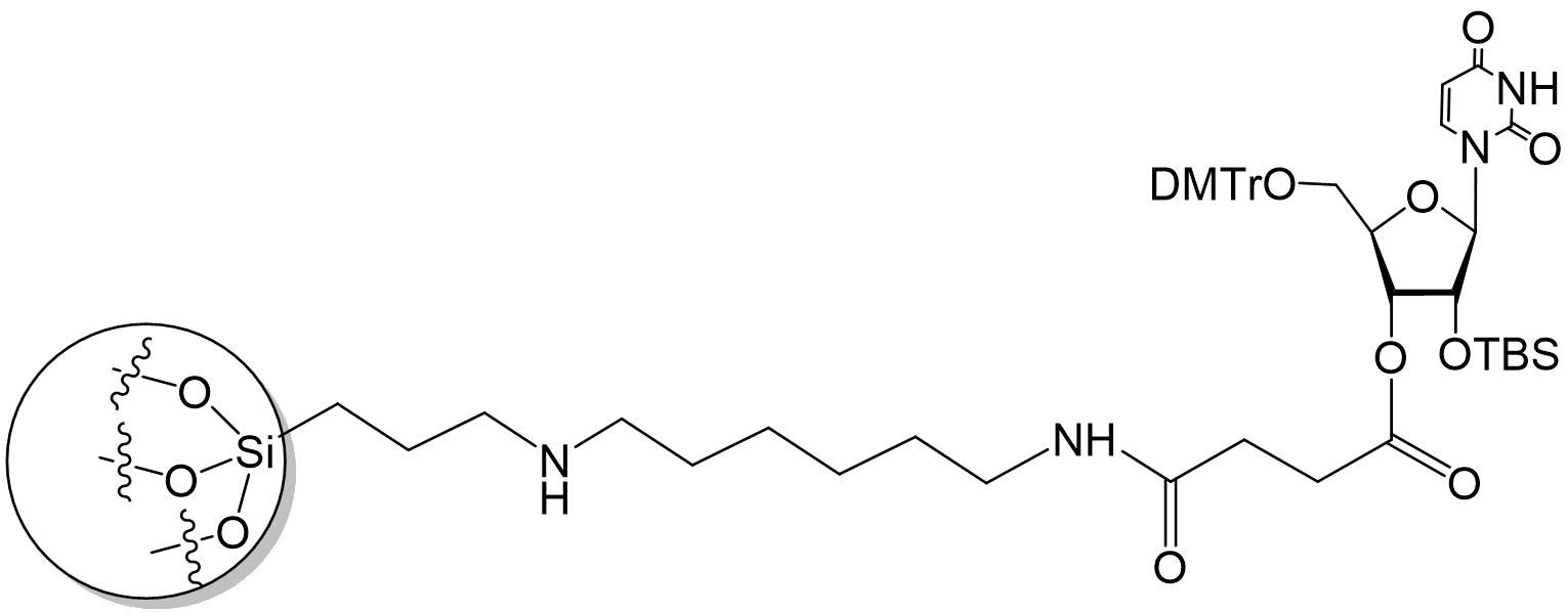 Figure JPOXMLDOC01-appb-C000042