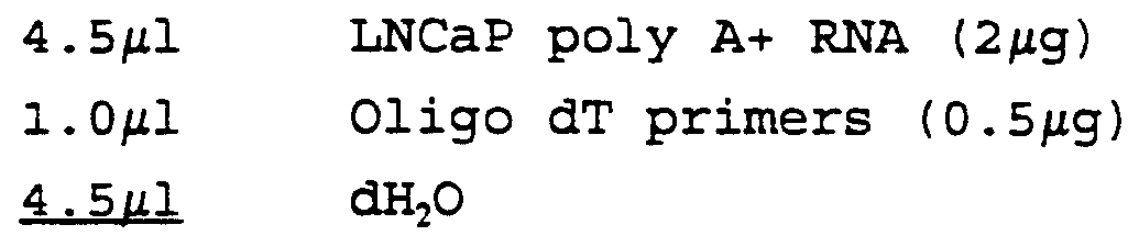 Figure imgf000049_0001