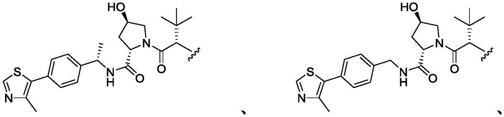 Figure FDA0003293294500000024